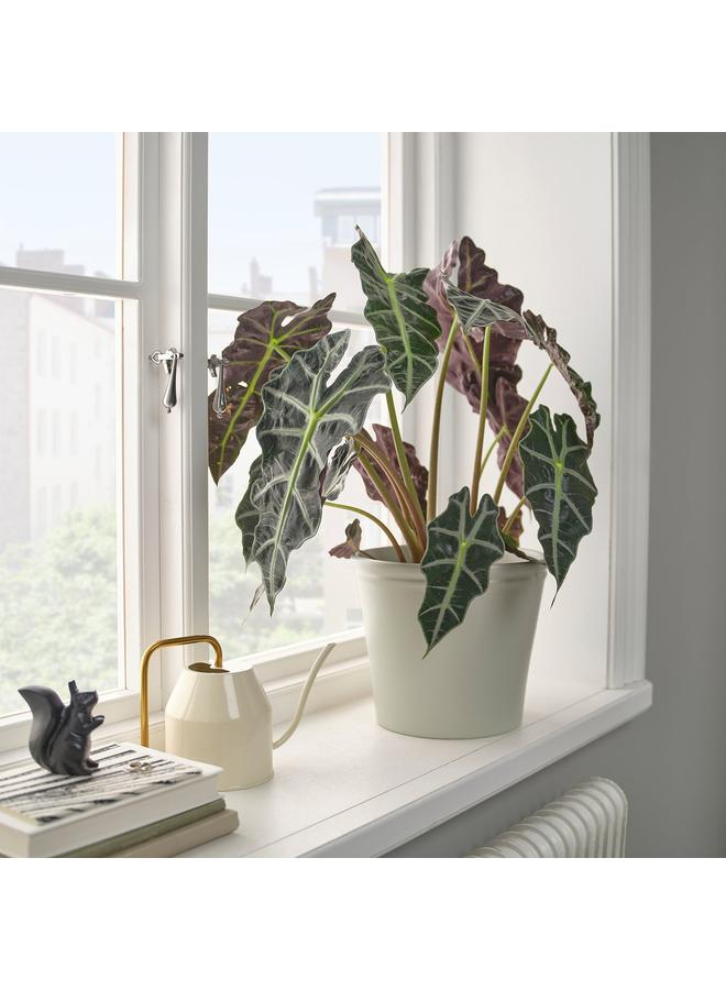 erorex Plant Pot, Light Grey-Beige, 19 Cm - Image 2