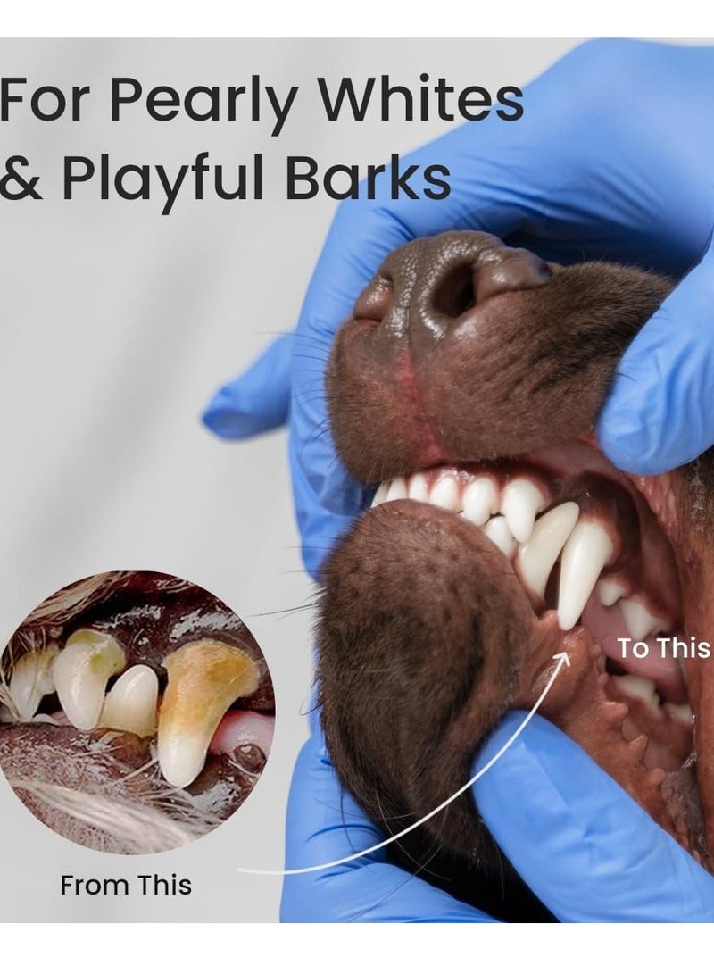 بايولاين معجون أسنان بيولاين بنكهة BBEF 100 جرام - Image 3