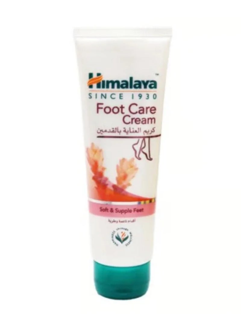 Foot care cream 75 grams - pzsku/Z237B651DF4672ABAECB7Z/45/_/1716385918/148d711d-b537-4439-834b-593f05ac3054