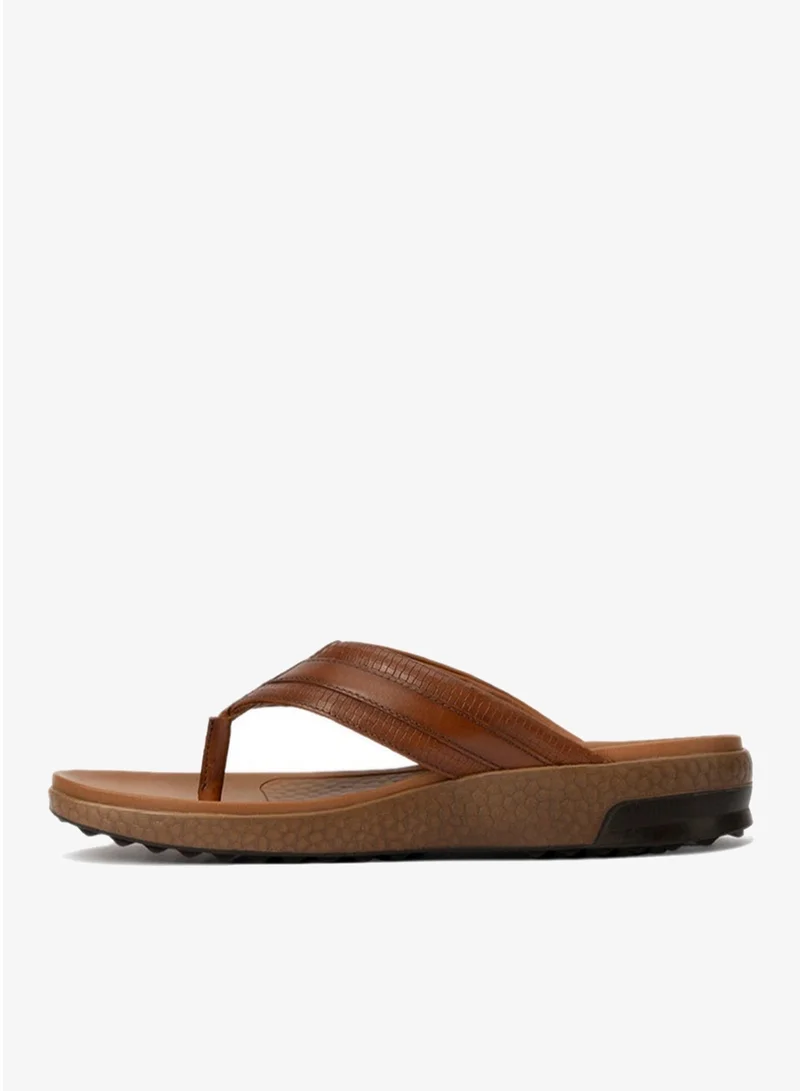 لانجوتش صندل دييغو للرجال