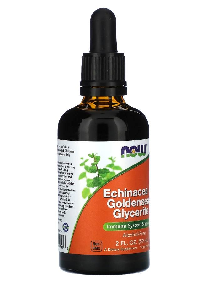 now Echinacea & Goldenseal Glycerite Alcohol-Free 2 fl oz (59 ml) - Image 2