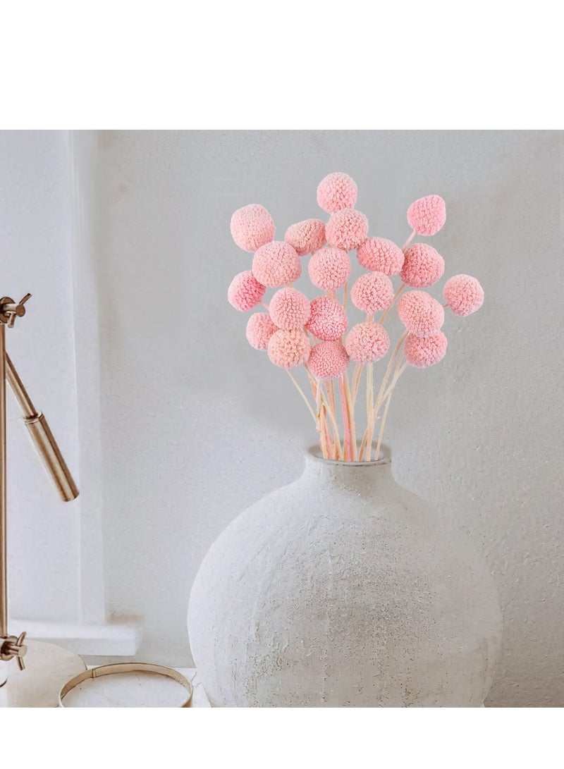 20 Pcs Dark Pink Dried Craspedia Billy Balls - Perfect for Floral Bouquets, Wedding Arrangements, Tall Vases, Boho Home Decor, and Festival Decorations.
