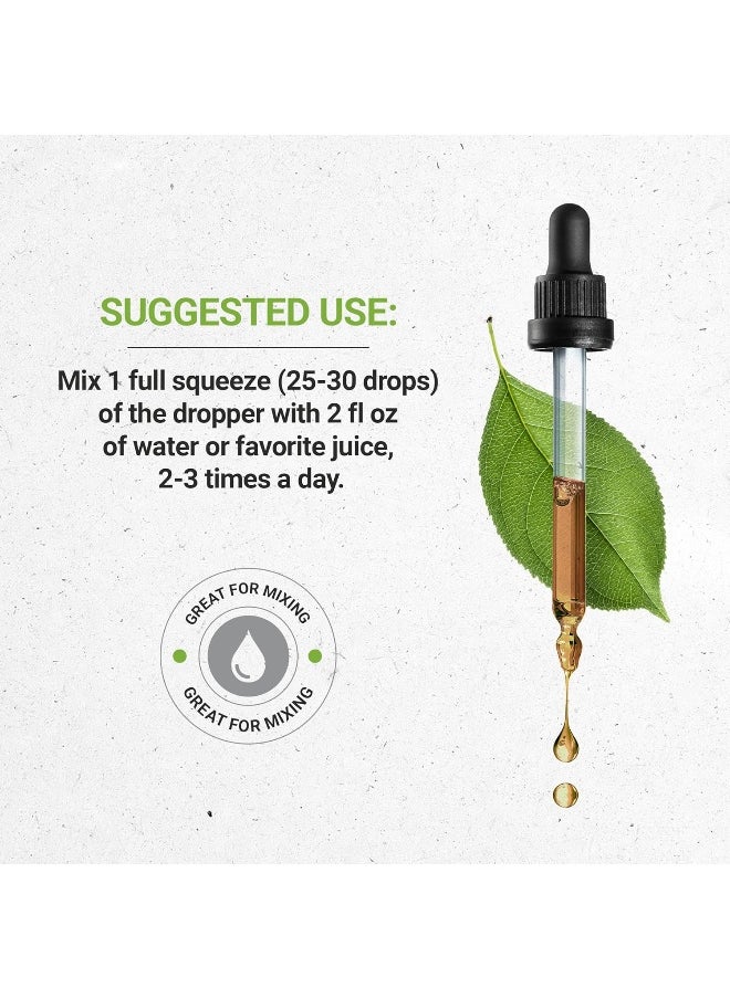 Secrets of the Tribe - Secrets of the Tribe Chaga Tincture Alcohol-Free Extract, Organic Chaga (Inonotus obliquus) Dried Whole Mushroom (2 FL OZ) - Image 1