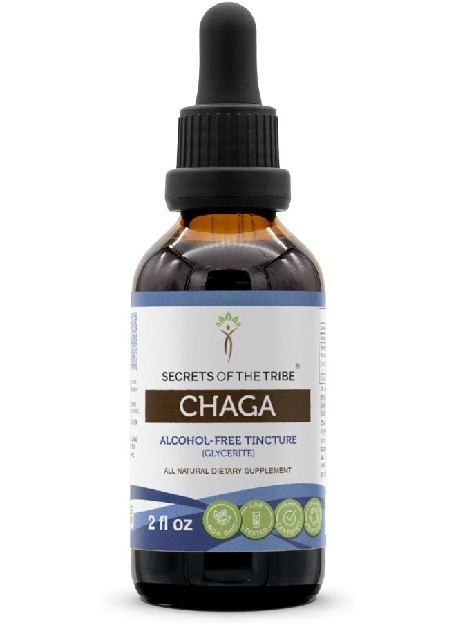 Secrets of the Tribe - Secrets of the Tribe Chaga Tincture Alcohol-Free Extract, Organic Chaga (Inonotus obliquus) Dried Whole Mushroom (2 FL OZ) - Image 1