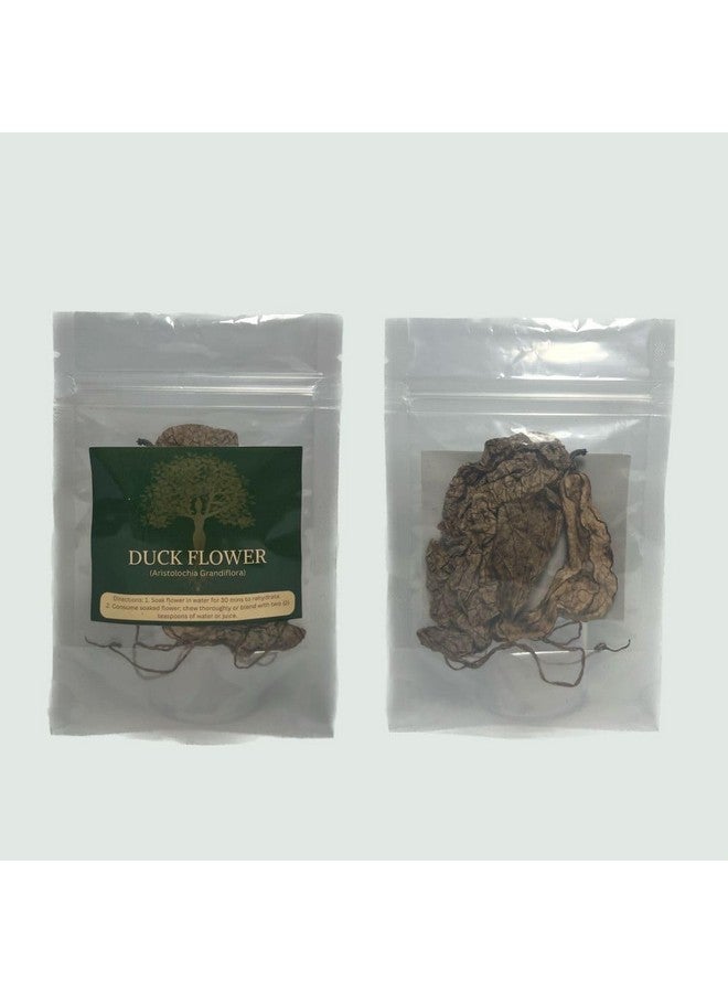 Generic Generic Jamaican Duck Flower, Flor De Pato - Dr. Sebi Approved, Wildcrafted for Wellness, 2 Ounce (Pack of 1)  - Image 2