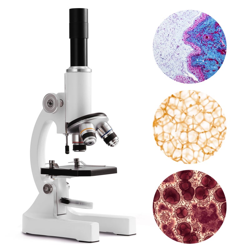 64X-2400X Optical Monocular Microscope - Adjustable Angle Phone Holder & Energy-Saving Fill Light, Complete Experimental Kit for Primary School Students Science Experiments & Biology Teaching - Image 4