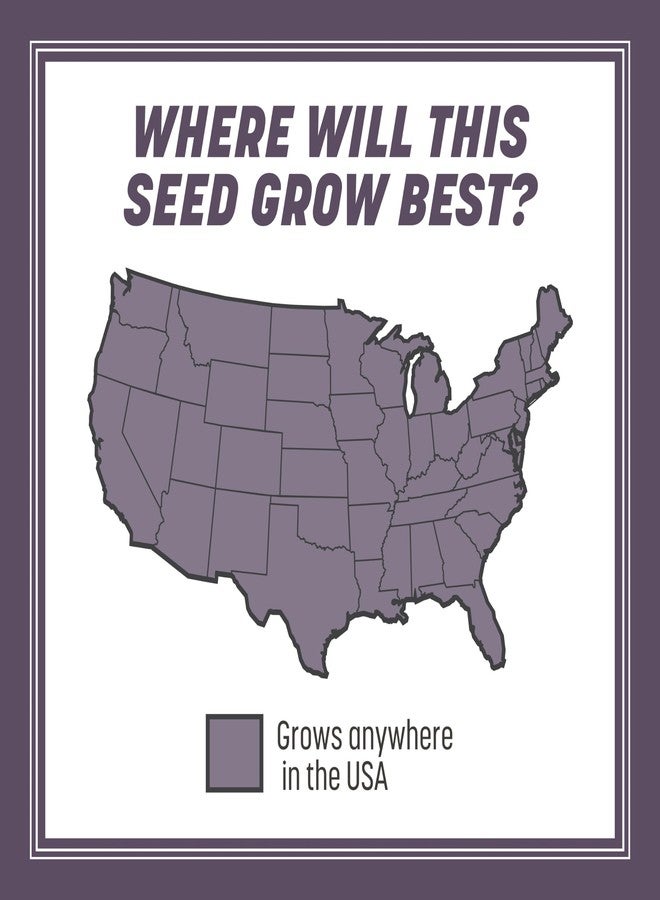 Pennington 100082632 Annual Ryegrass Grass Seed 10 lb, Black Label - Image 5