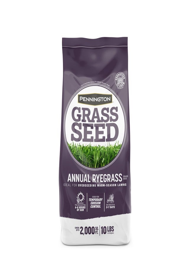 Pennington 100082632 Annual Ryegrass Grass Seed 10 lb, Black Label - Image 1