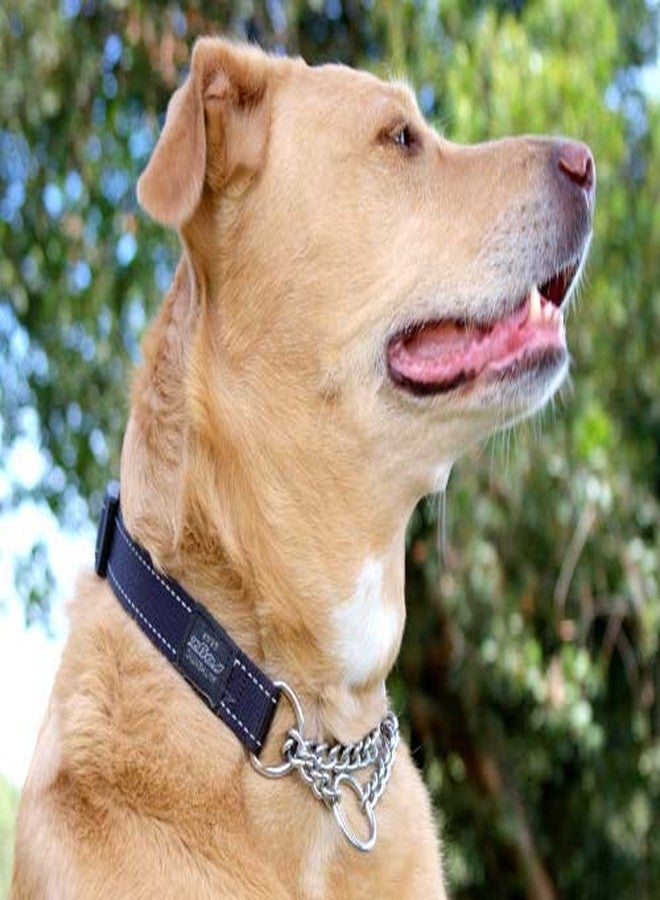 Rogz Reflective Nylon Choke Collar; Slip Show Obedience Training Gentle Choker for Large Dogs, Black - Image 2