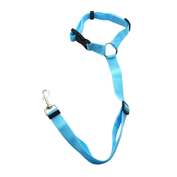 Loquat 2-in-1 Dog Lead Car Safety Belt Light Blue
