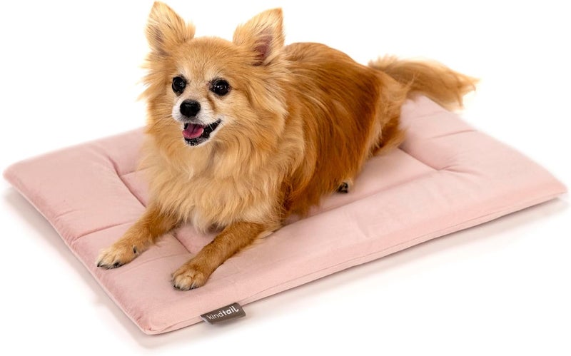 KindTail Dog Crate Pad - Soft Velvet, Reversible Bed - Machine Washable Kennel Mat for Pets up to 15 lbs, Mattress for Cozy Sleeping - 20â€ x 15â€ x 1â€ (Pink, Small) - Image 1