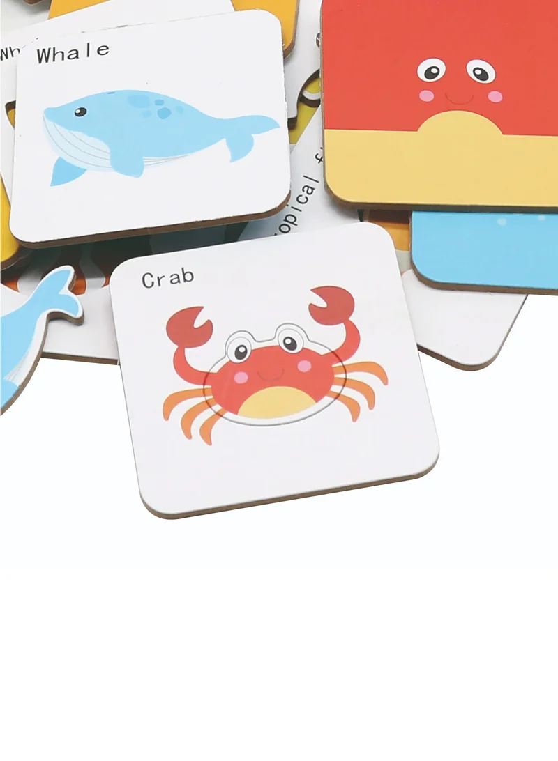 ألعاب أندرو Guess Who I Am - Sealife