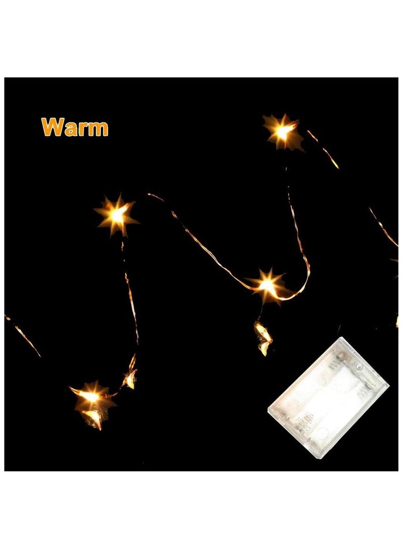 Fairy Christmas Diwali Lights Battery Operated, 10M/33ft/100 LED Warm White String Light, Waterproof Battery Case, Indoor Lights for Xmas Tree Wedding,Party Events Garden Spring Decoration