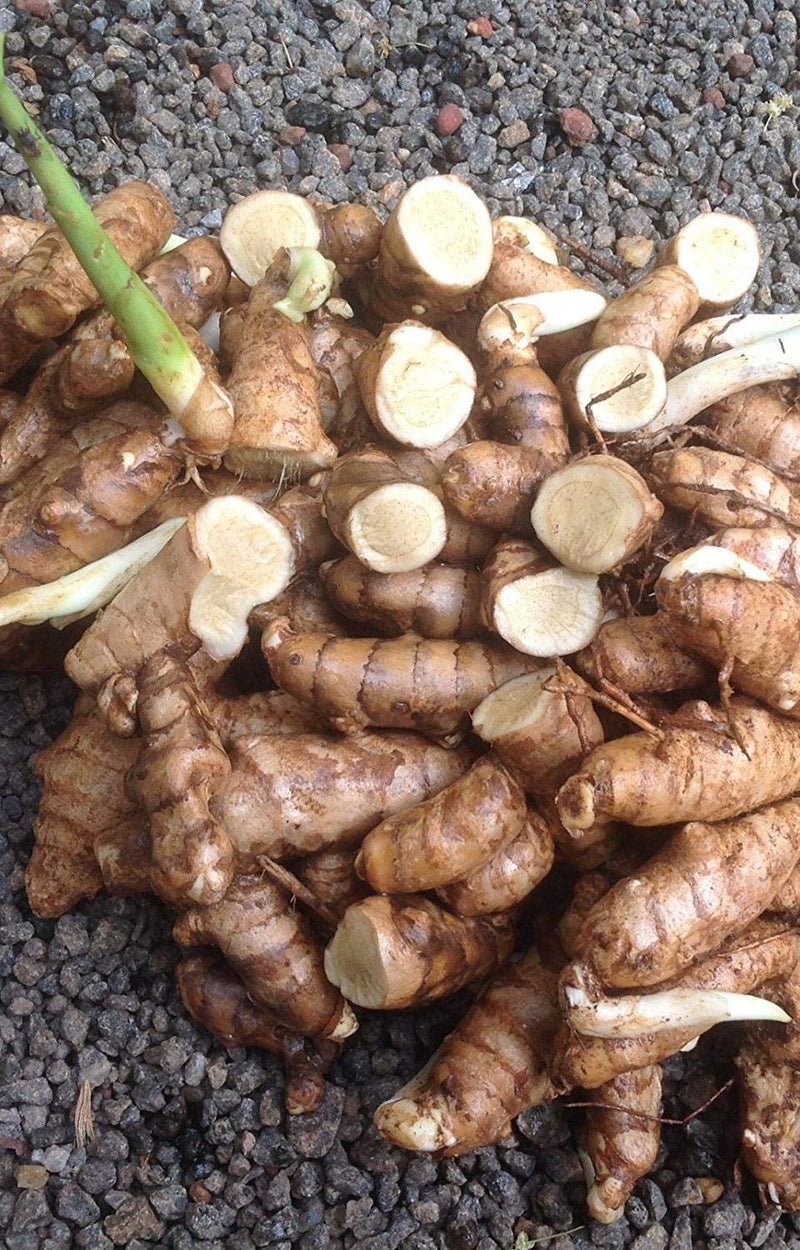 Neotea Curcuma Zedoary Root Poolankilangu Kichilli Kilangu, 250 G - Image 5