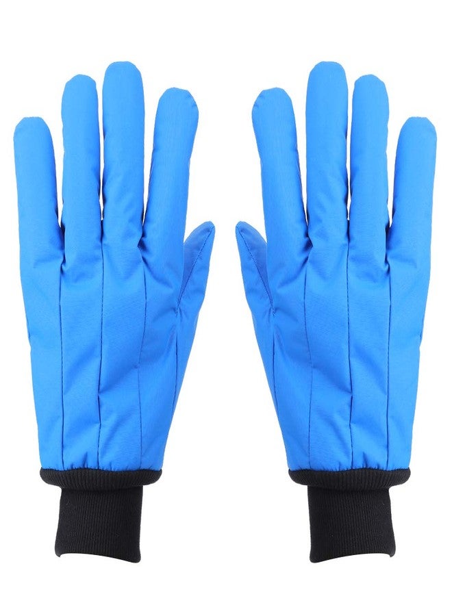 EVTSCAN Cryogenic Dry Ice Gloves Liquid Nitrogen Protective -200°C to -360°C Low Temperature Resistance Labor Hand Wear - Image 1