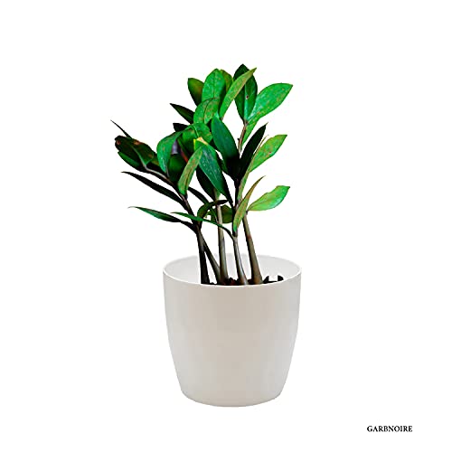 garbnoire Gardening Flower Pots - 4.4 Inch Plastic Flower Pots | Modern Decorative Indoor Outdoor Planters/Pots - Pack of (White, 10) - Image 3