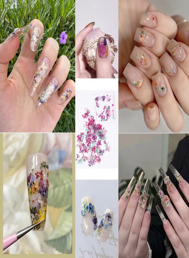 Xinxinran 3D Dried Flowers for Nails, Spring Flower Nail Art Stickers 1Box Dried Flowers for Resin Crafts Colorful Small Natural Floral Dried Flower Decals for Summer Acrylic Nails Design Manicure Accessories - Image 5
