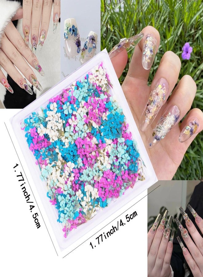 Xinxinran 3D Dried Flowers for Nails, Spring Flower Nail Art Stickers 1Box Dried Flowers for Resin Crafts Colorful Small Natural Floral Dried Flower Decals for Summer Acrylic Nails Design Manicure Accessories - Image 2