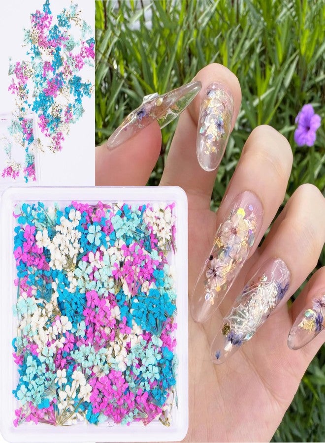 Xinxinran 3D Dried Flowers for Nails, Spring Flower Nail Art Stickers 1Box Dried Flowers for Resin Crafts Colorful Small Natural Floral Dried Flower Decals for Summer Acrylic Nails Design Manicure Accessories - Image 1