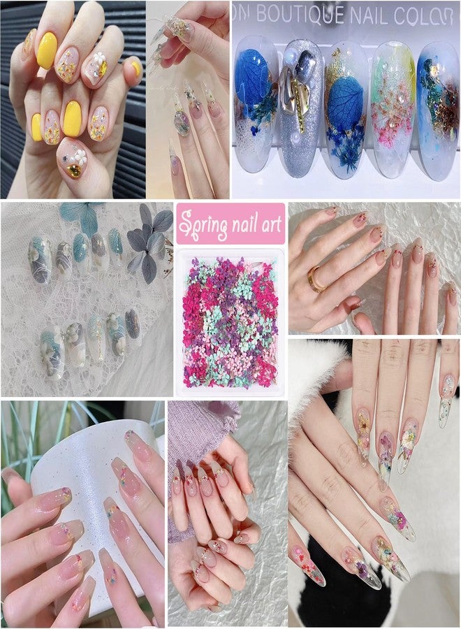 Xinxinran 3D Dried Flowers for Nails, Spring Flower Nail Art Stickers 1Box Dried Flowers for Resin Crafts Colorful Small Natural Floral Dried Flower Decals for Summer Acrylic Nails Design Manicure Accessories - Image 4