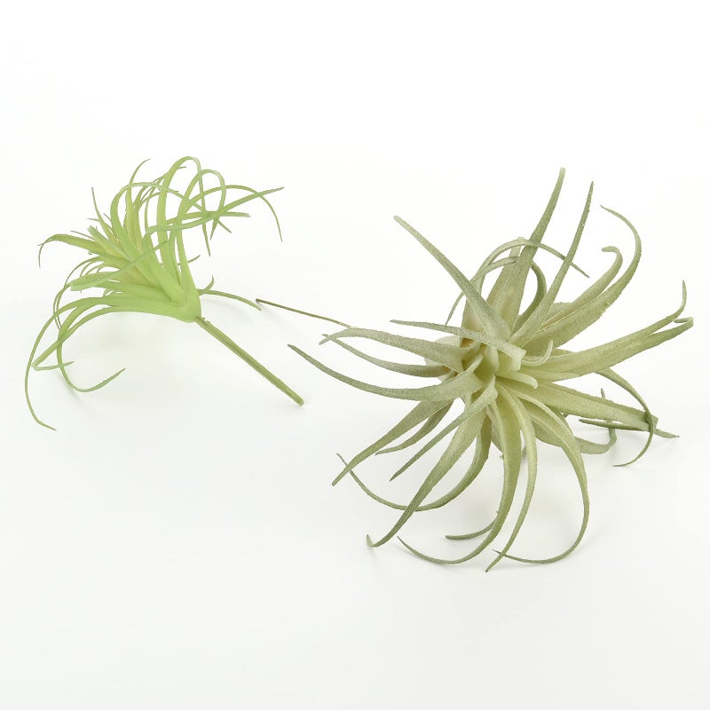 Cosmos Pack of 2 Artificial Succulents Plants Air Plants Faux Succulent Greenhouse Small Plants Unpotted Greenery Plant for Home Terrarium Arrangements Office Decor - Image 2