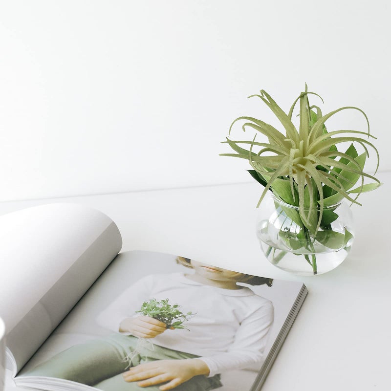 Cosmos Pack of 2 Artificial Succulents Plants Air Plants Faux Succulent Greenhouse Small Plants Unpotted Greenery Plant for Home Terrarium Arrangements Office Decor - Image 5