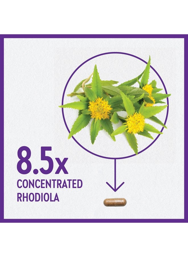 New Chapter Rhodiola Force 300Mg With Potent Vegan Rhodiola For Mental Focus & Stamina Endurance + Mood Support + Stress Adaptogen + Non Gmo Ingredients 30 Count - Image 5