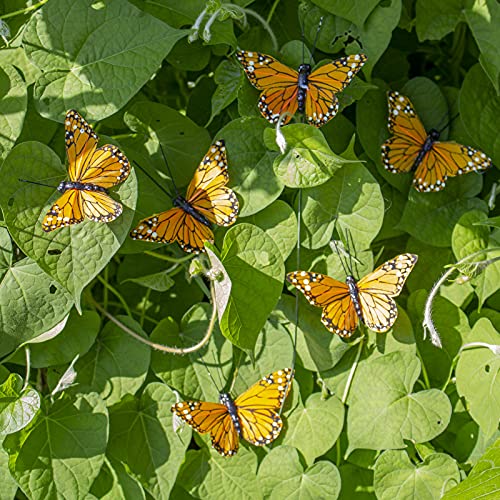 Berfutall- Monarch Butterfly Decor, Feather Butterfly Decorations Set of 12 with Wire, 3", Orange - Image 5