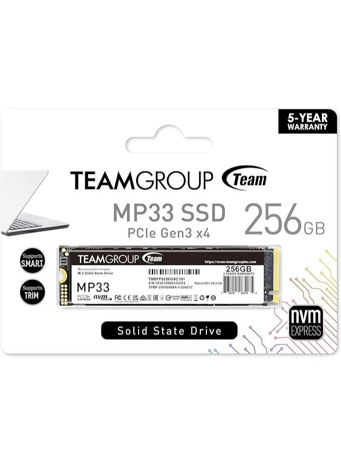Teamgroup MP33 256GB M.2 PCIe 3.0 x4 - TM8FP6256G0C101 - Image 3