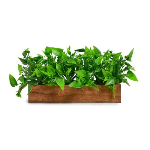 fancymart Artificial Plant Leaves in a Stylish Wooden Planter, Perfect Home Décor Item, Height 11cm x Width 20.5cm - Image 1