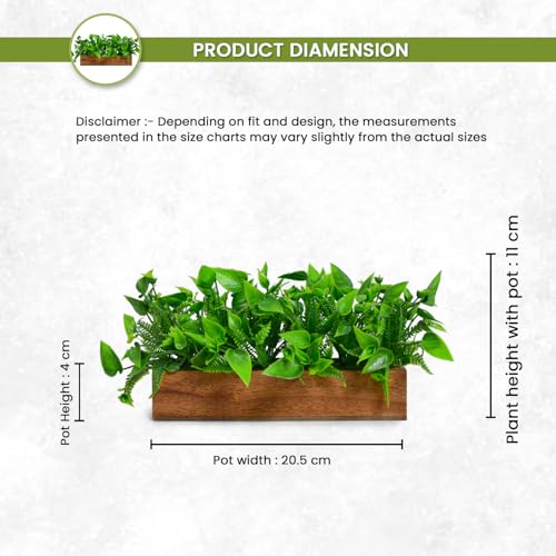 fancymart Artificial Plant Leaves in a Stylish Wooden Planter, Perfect Home Décor Item, Height 11cm x Width 20.5cm - Image 4