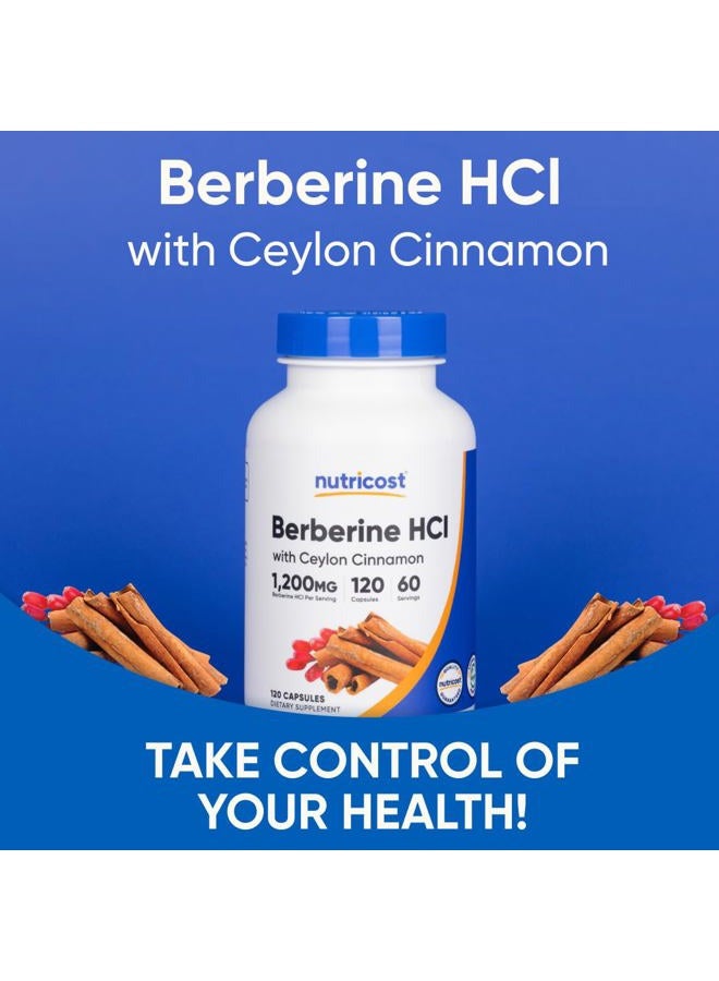 Nutricost Berberine HCl with Ceylon Cinnamon Capsules (120 Capsules, 60 Servings) - Non-GMO, Animal-Free Product - Image 5
