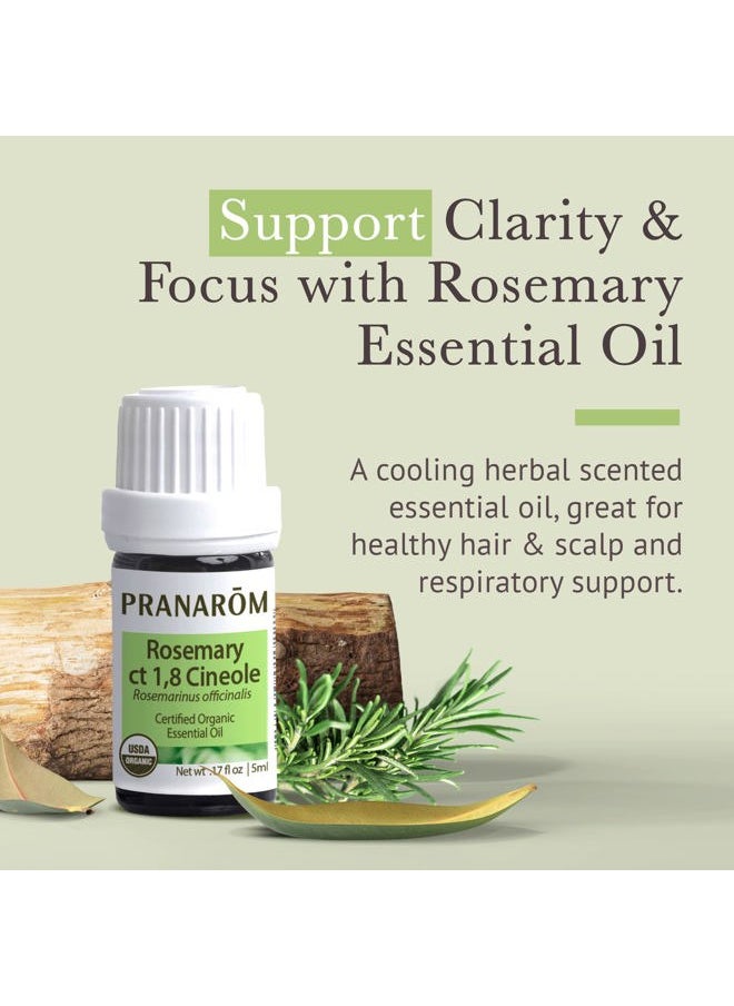 PRANAROM - USDA Certified Organic Rosemary Cineole Essential Oil (5ml), 100% Pure Undiluted Therapeutic Grade from Tunisia for Aromatherapy, Diffuser, Meditation, Massage, Relaxation - Image 1
