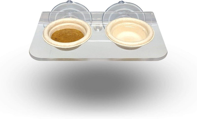 Pangea Acrylic Suction Cup Gecko Feeder Ledge (Small) for Lizards and Reptiles - Image 2