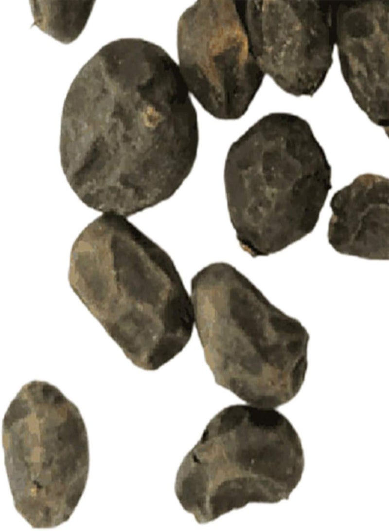 GGOOT Seed for Planting,100Pcs/Bag Balanopsis Lanceolata Seeds Strong Survivability Evergreen White Beautiful Perennial Monstera Seeds for Household-Monstera Seeds - Image 2