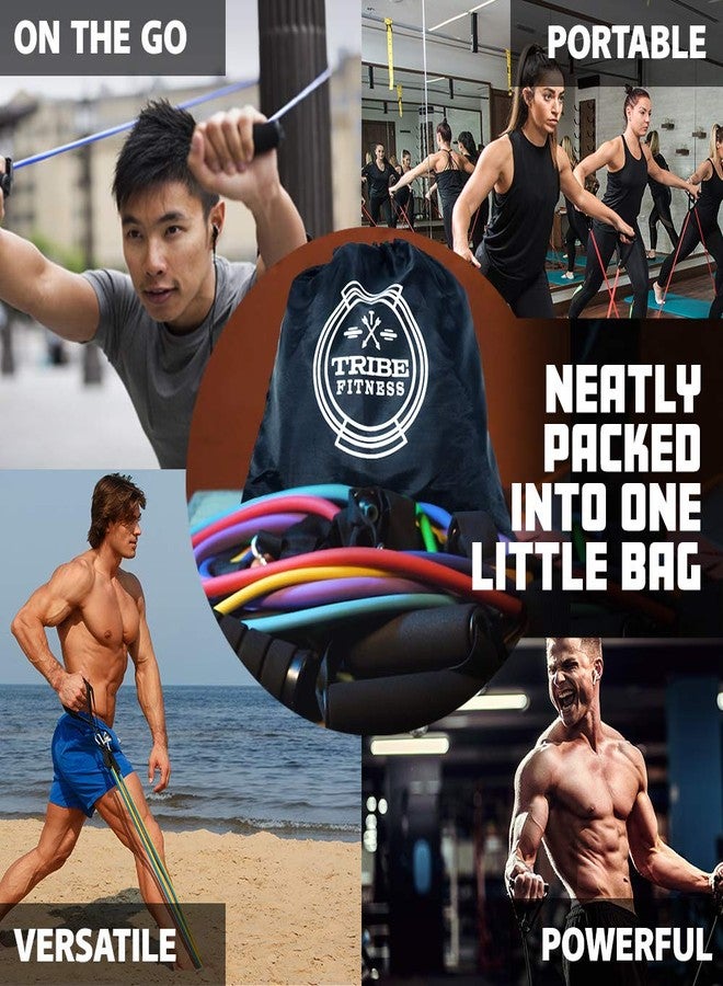 ترايب مجموعة أحزمة مقاومة للرجال والنساء، للتمارين الرياضية. أحزمة لياقة بدنية لتمارين الساقين والعضلة ذات الرأسين. أحزمة تمارين رياضية. أحزمة تمدد للعلاج الطبيعي. أحزمة تقوية. أحزمة مرنة لتمارين الأثقال. - Image 5