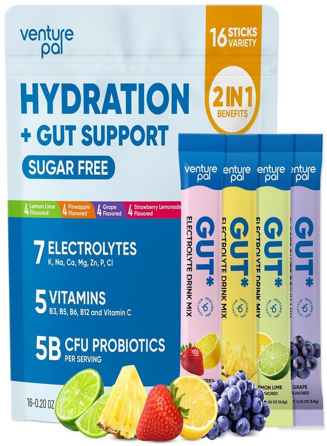 Venture Pal 2-in-1 Hydration Packets + Gut Health Electrolytes Powder - 7 Electrolytes & 5 Vitamins, Probiotics - Sugar Free Liquid Daily IV Drink Mix for Dehydration Relief | Non-GMO | 16 Sticks - Image 1