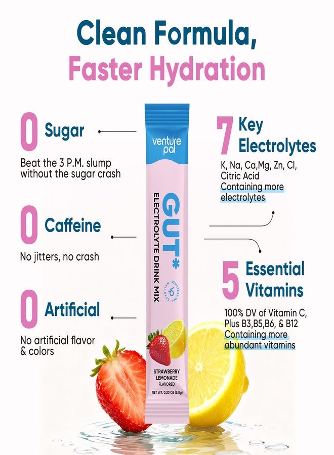 Venture Pal 2-in-1 Hydration Packets + Gut Health Electrolytes Powder - 7 Electrolytes & 5 Vitamins, Probiotics - Sugar Free Liquid Daily IV Drink Mix for Dehydration Relief | Non-GMO | 16 Sticks - Image 4