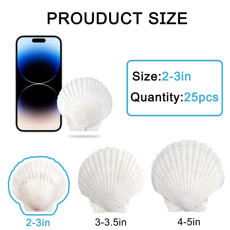 sinkoo Scallop Shells White Natural Seashell 25 PCS for DIY Craft Mermaid Beach Wedding Home Decoration(2""-3"") - Image 2