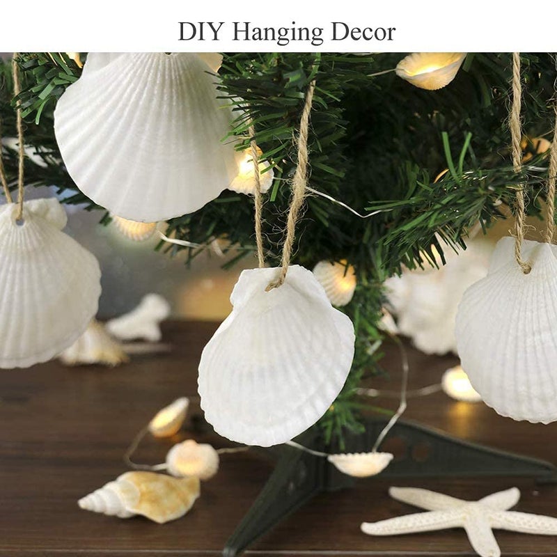 sinkoo Scallop Shells White Natural Seashell 25 PCS for DIY Craft Mermaid Beach Wedding Home Decoration(2""-3"") - Image 4