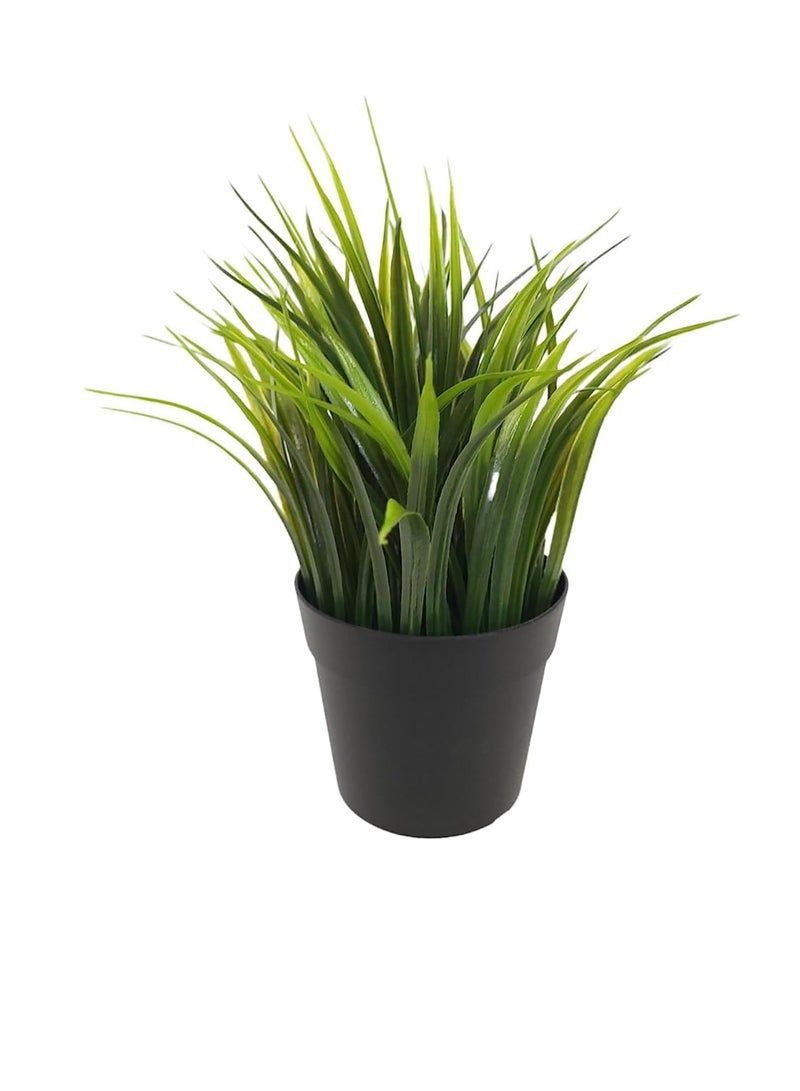 آيكيا فراكتا نبات صناعي بوعاء  عشب، أخضر