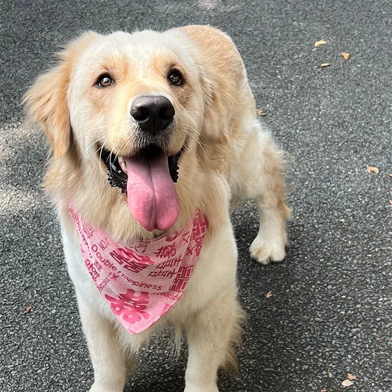 Dog drool scarf, large, medium and small dog Golden Retriever, festive pet triangle scarf, wedding bib, adjustable - Image 5