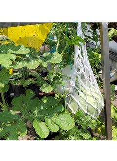 KASTWAVE 2-Pack Melon Hammock net Bag to Prevent Falling,Perfect for Growing Cantaloupe Pumpkin Watermelon in Vertical Garden Black  - Image 5