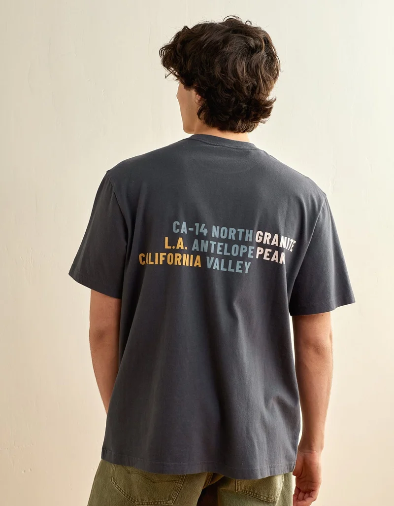 American Eagle  AE Standard Fit Destination Graphic T-Shirt  | Best Price UAE