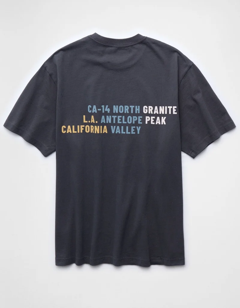 American Eagle  AE Standard Fit Destination Graphic T-Shirt  | Best Price UAE