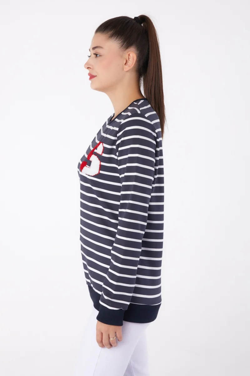 Tofisa Plain Crew Neck Women's Anthracite Embroidered Sweatshirt - 26286