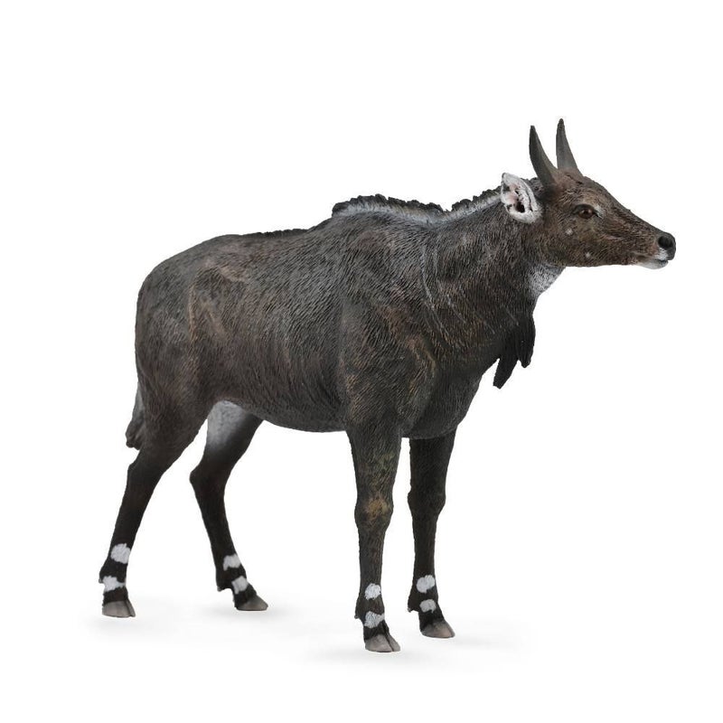 Collecta - Nilgai Antelope - 88764