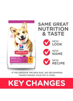 Hill's Science Plan Adult Small & Mini With Chicken Dog - 1.5Kg  - Image 2