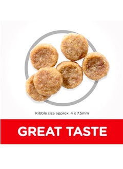 Hill's Science Plan Adult Small & Mini With Chicken Dog - 1.5Kg  - Image 3