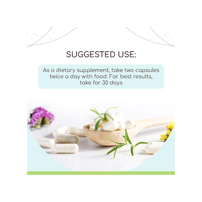 HerbEra Goat's Rue 120 Capsules, 400 mg, Goat's Rue (Galega officinalis) Dried Herb (120 Capsules) - Image 2